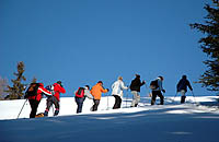 Aktivitäten im Winter - Ski-Wanderer